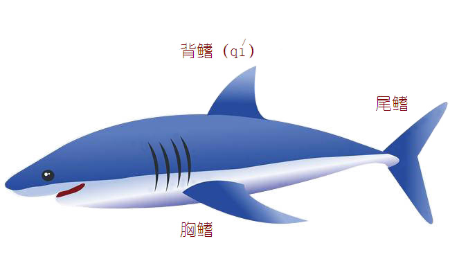 氣-水換熱器 力強環(huán)保